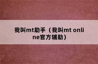 我叫mt助手（我叫mt online官方辅助）